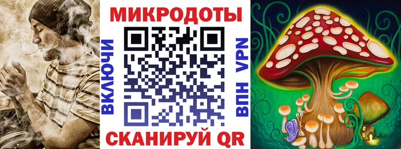 blacksprut Дыгулыбгей Псилоцибиновые грибы Magic Shrooms